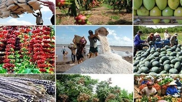 Ngành nông nghiệp đã có 7 sản phẩm đạt giá trị xuất khẩu trên 2 tỷ USD