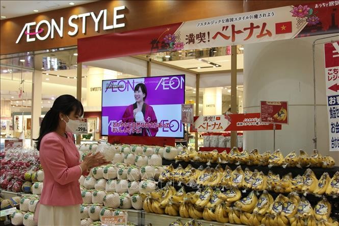 Một khách hàng người Nhật Bản chọn mua dừa Việt Nam ở siêu thị AEON trong Tuần hàng Việt Nam tại hệ thống siêu thị AEON trên toàn Nhật Bản, ngày 1/7/2022. Ảnh: Đào Thanh Tùng/TTXVN 