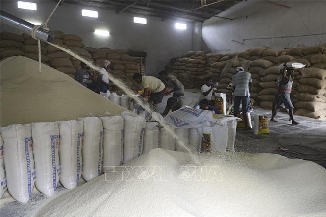 Công nhân làm việc tại nhà máy xay xát gạo ở Hyderabad, Ấn Độ. Ảnh: AFP/TTXVN