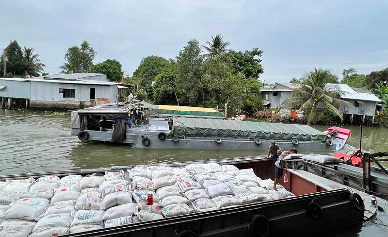 Giá lúa gạo trong nước đang được điều chỉnh lại