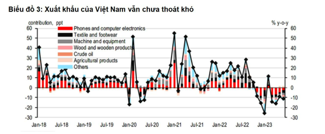 Việt Nam còn phải chịu một chu kỳ suy thoái thương mại kéo dài ảnh 1